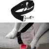 Merkloos Auto Veiligheidsgordel - Hondengordel - 2.5 Cm