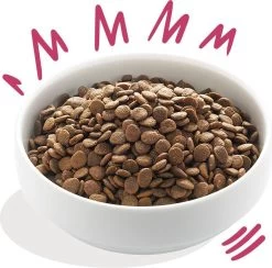 Edgard & Cooper Verse Hert & Scharreleend Brok - Voor Volwassen Honden - Hondenvoer - 2 X 2.5kg -Dierenwinkel 1200x1186 2