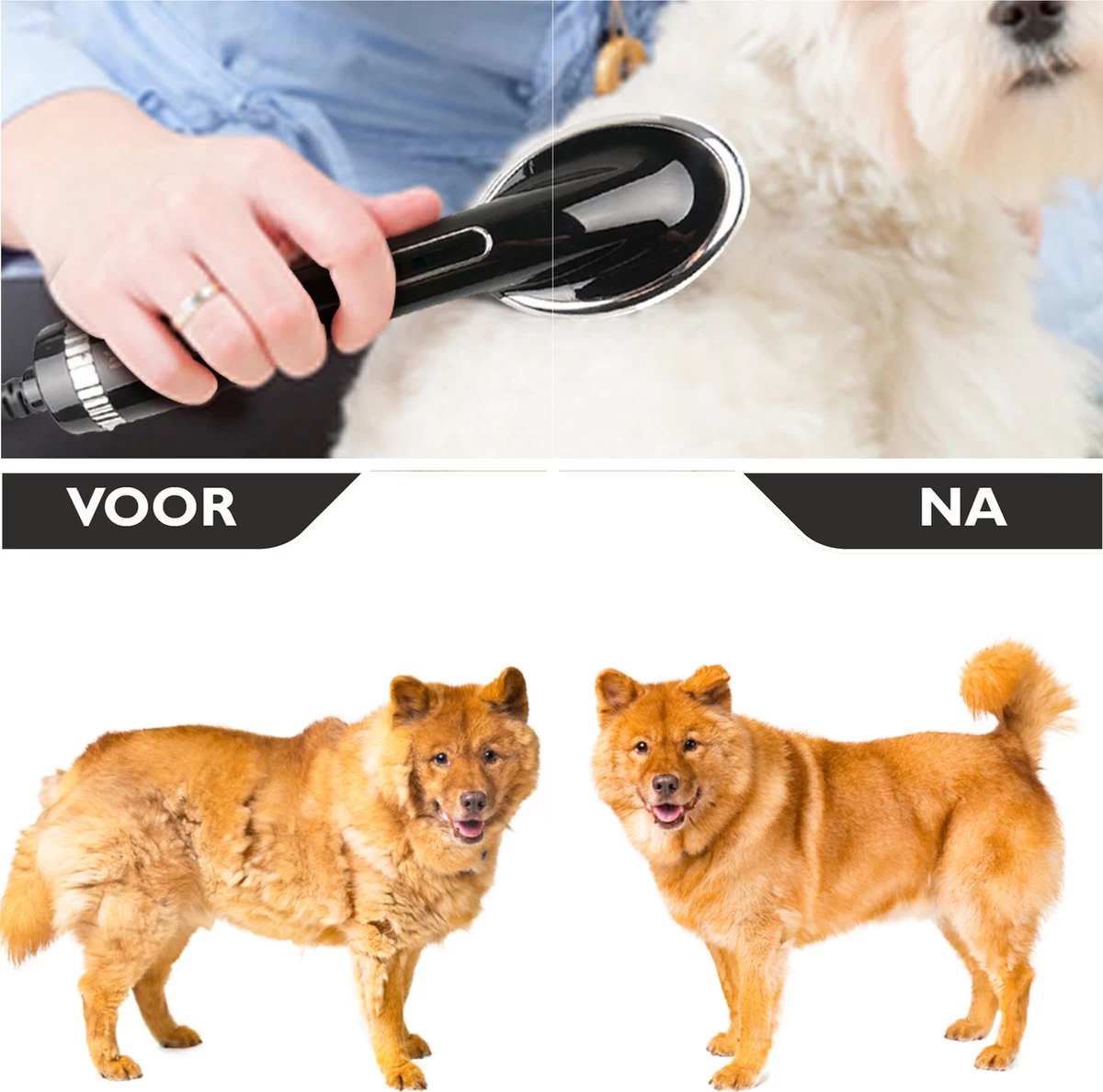 RoiPets® Hondenfohn 2 In 1 – 1000W - Honden Droger – Met Borstel - Waterblazer - Haar Verzorging - Honden Borstel Zwart - Honden/Katten/Dieren 4 RoiPets® Hondenfohn 2 In 1 – 1000W - Honden Droger – Met Borstel - Waterblazer - Haar Verzorging - Honden Borstel Zwart - Honden/Katten/Dieren - Afbeelding 2