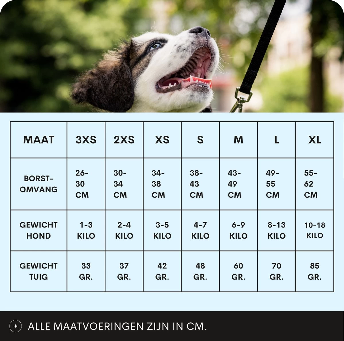 Topmast Airmesh Hondentuig - Click & Go - Petrol - S - Reflecterend - Harnas Hond - Hondentuigje - Hondenharnas - Voor Puppy, Kleine, Medium En Grote Hond 3 Topmast Airmesh Hondentuig - Click & Go - Petrol - S - Reflecterend - Harnas Hond - Hondentuigje - Hondenharnas - Voor Puppy, Kleine, Medium En Grote Hond - Afbeelding 2