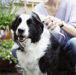 Merkloos HondenFöhn En Borstel - RVS Borstel - Huisdieren - 2 In 1 Hondenföhn -Dierenwinkel 1200x1190 10