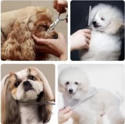 VoordeelShop 7-Delige Huisdier Knipset Met Etui - Trimmen Hond - Honden Schaar - Effileerschaar Hond - Huisdier Trimmer - Huisdier Knippen - Knipschaar Haar - Haar Schaar - Kapper - Kapperset - Scharenset -Dierenwinkel 1200x1190 12