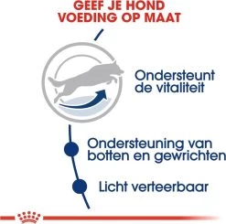 Royal Canin Maxi Adult 5+ Jaar Oud - Hondenvoer - 15 Kg -Dierenwinkel 1200x1190 2