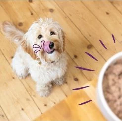 Merkloos Edgard & Cooper Hondenvoer Multipack Kip - Wild - Lam 6 X 100 Gr 12 Merkloos Edgard & Cooper Hondenvoer Multipack Kip - Wild - Lam 6 X 100 Gr -Dierenwinkel 1200x1190 4