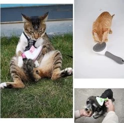 Igoods Kattenborstel - Kattenhaar Verwijderaar - Ontpluizer - Grijs 15 Igoods Kattenborstel - Kattenhaar Verwijderaar - Ontpluizer - Grijs -Dierenwinkel 1200x1191 3