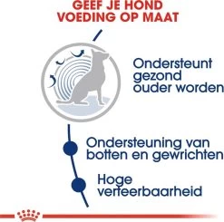 Royal Canin Maxi Ageing 8+ 15 KG 21 Royal Canin Maxi Ageing 8+ 15 KG -Dierenwinkel 1200x1192 1