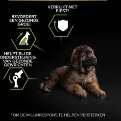 Pro Plan Healthy Start Puppy Large Robust - Honden Droogvoer - Kip - 12 Kg -Dierenwinkel 1200x1194