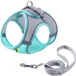 Hondentuigje Voor Kleine Puppy's & Kleine Honden - Blauw - Maat M -Dierenwinkel 1200x1195 20