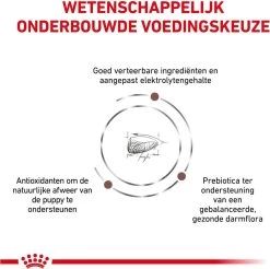 Royal Canin Gastro Intestinal Junior - Tot 12 Maanden - Hondenvoer - 10 Kg -Dierenwinkel 1200x1196
