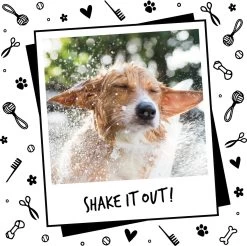 Bugalugs - Hondenshampoo - One In A Million - Alle Vachttypes - Fles Met Pompje - Vegan - 500 Ml -Dierenwinkel 1200x1197 13