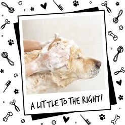 Bugalugs - Hondenshampoo - One In A Million - Alle Vachttypes - Fles Met Pompje - Vegan - 500 Ml -Dierenwinkel 1200x1197 15