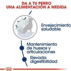 Royal Canin Maxi Ageing 8+ 15 KG 25 Royal Canin Maxi Ageing 8+ 15 KG -Dierenwinkel 1200x1197 2