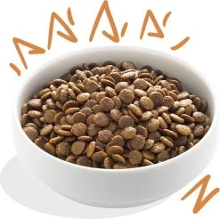 Edgard & Cooper Verse Scharrelkip Adult - Hondenvoer - 7kg 28 Edgard & Cooper Verse Scharrelkip Adult - Hondenvoer - 7kg -Dierenwinkel 1200x1197