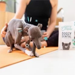 Merkloos Edgard & Cooper Doggy Dental Sticks Aardbei - Frisse Muntolie Small 19 Merkloos Edgard & Cooper Doggy Dental Sticks Aardbei - Frisse Muntolie Small -Dierenwinkel 1200x1199 12