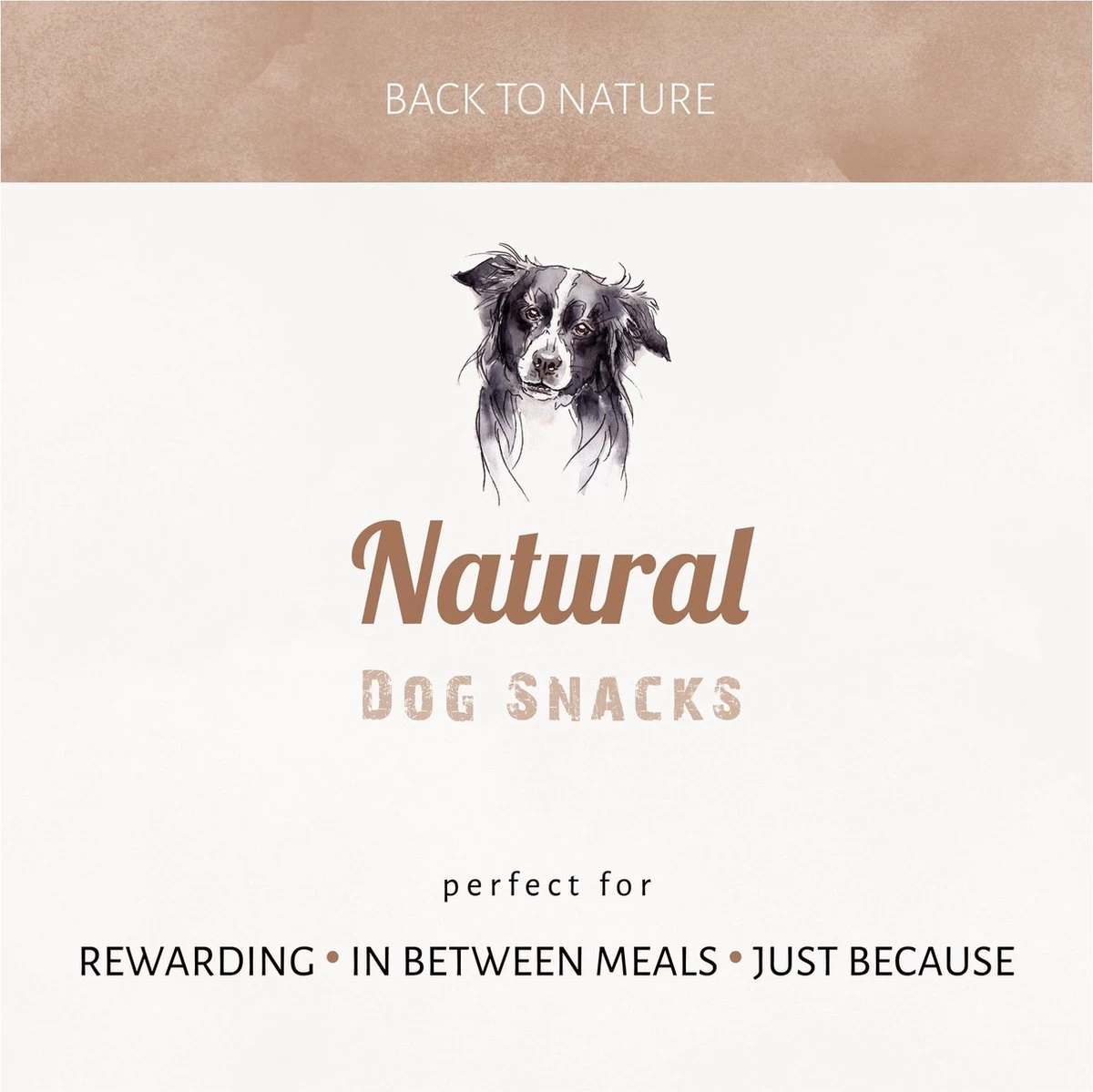 Antos Kippenpoten Gedroogd Kip 1 Kg 7 Antos Kippenpoten Gedroogd Kip 1 Kg - Afbeelding 5