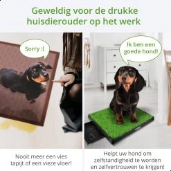 AWEMOZ Hondentoilet Kunstgras - Met 2 Matten En Opvangbak - 64x52x7,5cm - Puppy Pads - Zindelijkheidstraining Hond - Training Pads - Indoor / Outdoor Honden Toilet -Dierenwinkel 1200x1200 1002