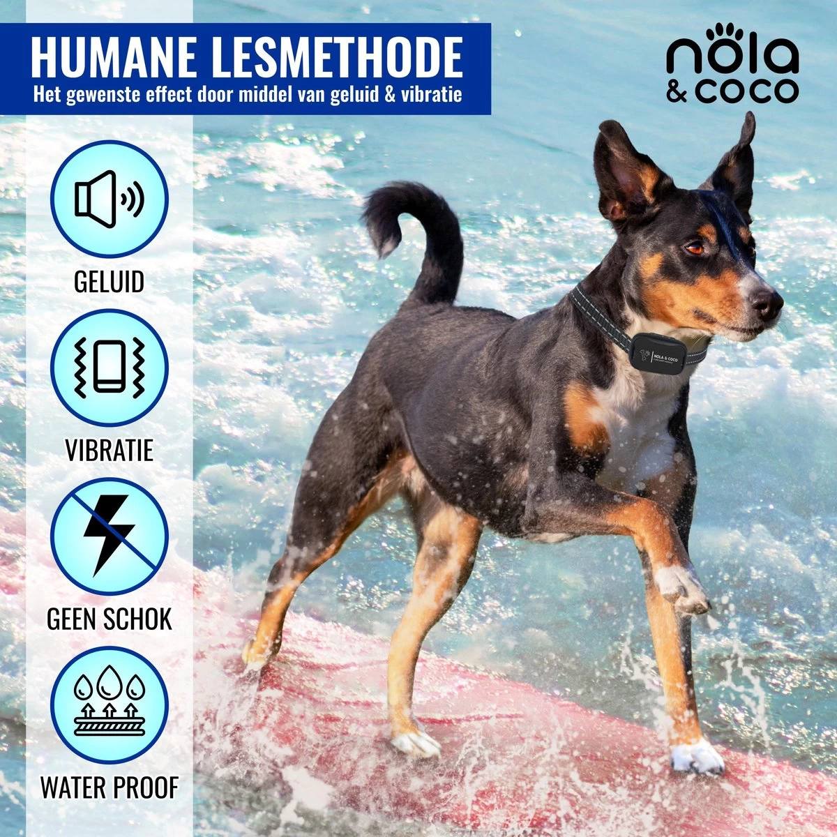 Nola & Coco® Oplaadbare Anti Blafband - 4 Kleuren - Zonder Schok - Waterdichte Diervriendelijke Blaf Halsband - Opvoedingshalsband - Voor Grote En Kleine Honden - Lichte Vibratie En Geluid - 3 Tot 60kg 6 Nola & Coco® Oplaadbare Anti Blafband - 4 Kleuren - Zonder Schok - Waterdichte Diervriendelijke Blaf Halsband - Opvoedingshalsband - Voor Grote En Kleine Honden - Lichte Vibratie En Geluid - 3 Tot 60kg - Afbeelding 4