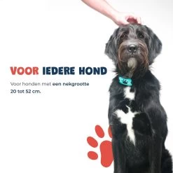 Anti Blafband - Blafband Voor Honden - Anti Blaf Apparaat - Blafband - Diervriendelijk & Zonder Schok -Dierenwinkel 1200x1200 1029