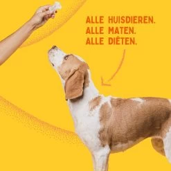 Aerend - Zalmolie Voor Honden En Katten - Zanipro® 500 Ml - 100% Visolie Op Schotse Zalmolie - Glanzende Vacht - Voedingssupplement - Anti-jeuk - Gezonde Bron Van Omega 3, 6 & 9 - Behandeling Voor Fretten En Paarden 22 Aerend - Zalmolie Voor Honden En Katten - Zanipro® 500 Ml - 100% Visolie Op Schotse Zalmolie - Glanzende Vacht - Voedingssupplement - Anti-jeuk - Gezonde Bron Van Omega 3, 6 & 9 - Behandeling Voor Fretten En Paarden -Dierenwinkel 1200x1200 104