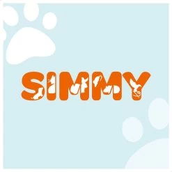 Simmy Anti Blafband - Diervriendelijke Opvoedingshalsband - Zwart En Blauw - Diervriendelijk - Zonder Schok - Anti Blaf Band Voor Grote En Kleine Honden -Dierenwinkel 1200x1200 1044