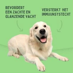Aerend - Zalmolie Voor Honden En Katten - Zanipro® 500 Ml - 100% Visolie Op Schotse Zalmolie - Glanzende Vacht - Voedingssupplement - Anti-jeuk - Gezonde Bron Van Omega 3, 6 & 9 - Behandeling Voor Fretten En Paarden 24 Aerend - Zalmolie Voor Honden En Katten - Zanipro® 500 Ml - 100% Visolie Op Schotse Zalmolie - Glanzende Vacht - Voedingssupplement - Anti-jeuk - Gezonde Bron Van Omega 3, 6 & 9 - Behandeling Voor Fretten En Paarden -Dierenwinkel 1200x1200 105