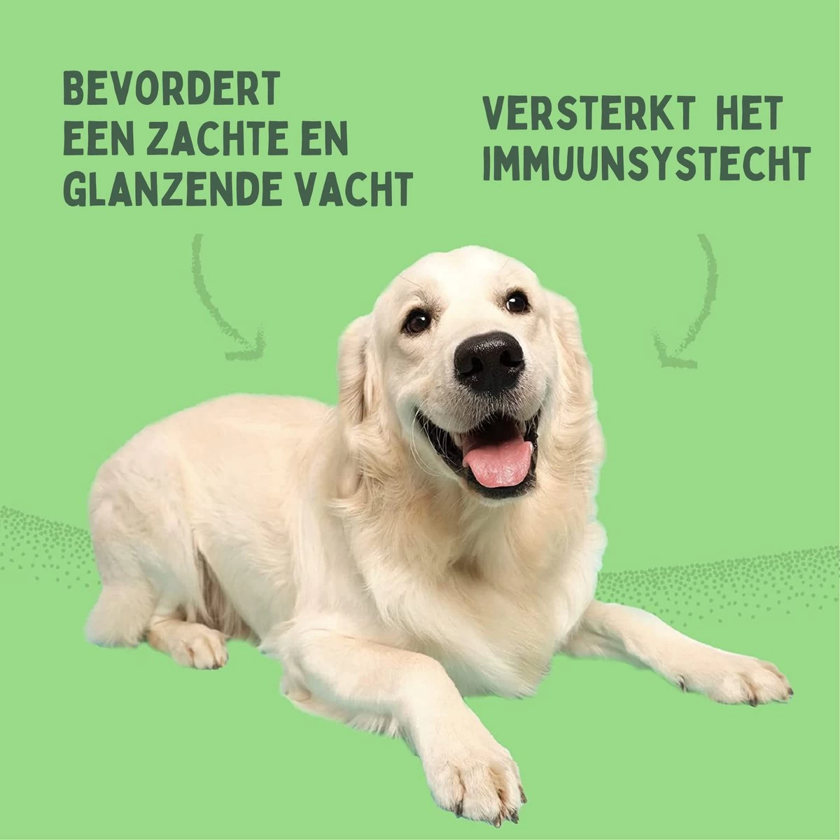 Aerend - Zalmolie Voor Honden En Katten - Zanipro® 500 Ml - 100% Visolie Op Schotse Zalmolie - Glanzende Vacht - Voedingssupplement - Anti-jeuk - Gezonde Bron Van Omega 3, 6 & 9 - Behandeling Voor Fretten En Paarden 13 Aerend - Zalmolie Voor Honden En Katten - Zanipro® 500 Ml - 100% Visolie Op Schotse Zalmolie - Glanzende Vacht - Voedingssupplement - Anti-jeuk - Gezonde Bron Van Omega 3, 6 & 9 - Behandeling Voor Fretten En Paarden - Afbeelding 11