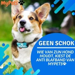 MyPets™ Anti-blafband - Anti Blaf Apparaat - Voor Kleine Honden En Grote Honden - Diervriendelijk - Opvoedingshalsband - Trainingshalsband - 2022/2023 Versie - Inclusief Batterijen -Dierenwinkel 1200x1200 1051