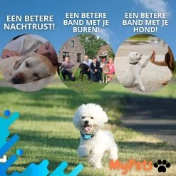 MyPets™ Anti-blafband - Anti Blaf Apparaat - Voor Kleine Honden En Grote Honden - Diervriendelijk - Opvoedingshalsband - Trainingshalsband - 2022/2023 Versie - Inclusief Batterijen -Dierenwinkel 1200x1200 1054