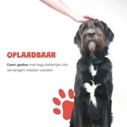 Anti Blafband - Blafband Voor Honden - Oplaadbaar - Anti Blaf Apparaat - Blafband - Diervriendelijk -Dierenwinkel 1200x1200 1059