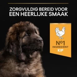 Pro Plan Healthy Start Puppy Large Robust - Honden Droogvoer - Kip - 12 Kg -Dierenwinkel 1200x1200 107