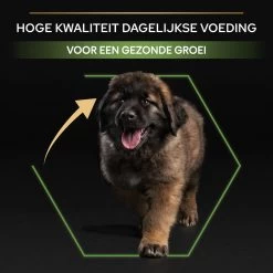 Pro Plan Healthy Start Puppy Large Robust - Honden Droogvoer - Kip - 12 Kg -Dierenwinkel 1200x1200 108