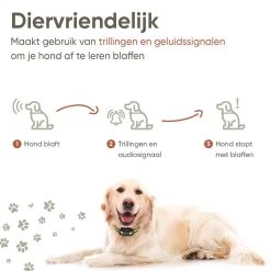 Premium Anti Blafband - Diervriendelijke Opvoedingshalsband Zonder Schok - Trainingshalsband Voor Grote En Kleine Honden - Anti Blaf Band - Correctie Halsband 13 Premium Anti Blafband - Diervriendelijke Opvoedingshalsband Zonder Schok - Trainingshalsband Voor Grote En Kleine Honden - Anti Blaf Band - Correctie Halsband -Dierenwinkel 1200x1200 1097