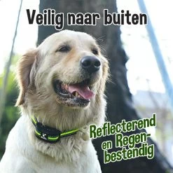 Blaffie® Anti Blafband – Trainingshalsband Voor Kleine En Grote Honden – Oplaadbaar– Anti Blaf Apparaat – Zonder Schok – Diervriendelijk - Blafband Voor Honden 13 Blaffie® Anti Blafband – Trainingshalsband Voor Kleine En Grote Honden – Oplaadbaar– Anti Blaf Apparaat – Zonder Schok – Diervriendelijk - Blafband Voor Honden -Dierenwinkel 1200x1200 1118