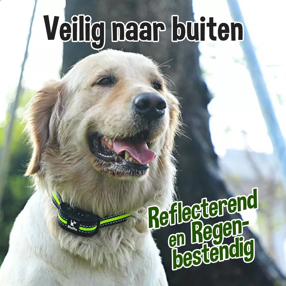 Blaffie® Anti Blafband – Trainingshalsband Voor Kleine En Grote Honden – Oplaadbaar– Anti Blaf Apparaat – Zonder Schok – Diervriendelijk - Blafband Voor Honden 6 Blaffie® Anti Blafband – Trainingshalsband Voor Kleine En Grote Honden – Oplaadbaar– Anti Blaf Apparaat – Zonder Schok – Diervriendelijk - Blafband Voor Honden - Afbeelding 4