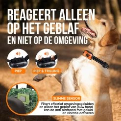 Strex Anti Blafband Voor Honden - 3-60KG - Oplaadbaar - Zonder Schok - Vibratie En Audio - Diervriendelijk - Anti Blaf Band - Anti Blaf Apparaat - Opvoedingshalsband Alle Honden 13 Strex Anti Blafband Voor Honden - 3-60KG - Oplaadbaar - Zonder Schok - Vibratie En Audio - Diervriendelijk - Anti Blaf Band - Anti Blaf Apparaat - Opvoedingshalsband Alle Honden -Dierenwinkel 1200x1200 1134