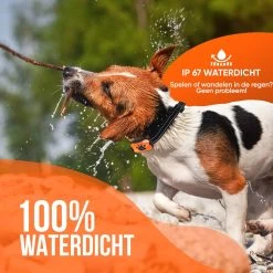 Strex Anti Blafband Voor Honden - 3-60KG - Oplaadbaar - Zonder Schok - Vibratie En Audio - Diervriendelijk - Anti Blaf Band - Anti Blaf Apparaat - Opvoedingshalsband Alle Honden 15 Strex Anti Blafband Voor Honden - 3-60KG - Oplaadbaar - Zonder Schok - Vibratie En Audio - Diervriendelijk - Anti Blaf Band - Anti Blaf Apparaat - Opvoedingshalsband Alle Honden -Dierenwinkel 1200x1200 1136