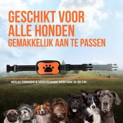 Strex Anti Blafband Voor Honden - 3-60KG - Oplaadbaar - Zonder Schok - Vibratie En Audio - Diervriendelijk - Anti Blaf Band - Anti Blaf Apparaat - Opvoedingshalsband Alle Honden 17 Strex Anti Blafband Voor Honden - 3-60KG - Oplaadbaar - Zonder Schok - Vibratie En Audio - Diervriendelijk - Anti Blaf Band - Anti Blaf Apparaat - Opvoedingshalsband Alle Honden -Dierenwinkel 1200x1200 1138