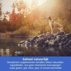 Sensipharm Bitterspray Anti Bijt Spray - Hond, Kat, Konijn & Vogel - Bitter Anti Kauw Knabbel Knaag - 100 Ml -Dierenwinkel 1200x1200 1142
