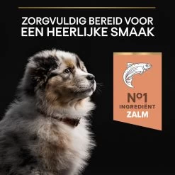 Pro Plan Medium Puppy Sensitive Skin - Honden Droogvoer - Zalm - 12 Kg -Dierenwinkel 1200x1200 118