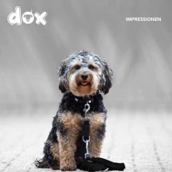 DDOXX Hondenriem Air Mesh, 3-voudig Verstelbaar, 2m | Voor Kleine & Grote Honden | Dubbele Riem Twee Honden Kat Puppy | Tug Leash Large | Lead Leash Small | Walking Leash Puppy Leash | Zwart, M -Dierenwinkel 1200x1200 1197