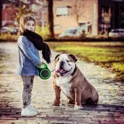 IGOODS - Hondenriem - Katten Riem - Uitlaatriem Voor Honden En Katten - Honden Riem- Rollijn - 5 Meter Lang -Dierenwinkel 1200x1200 1201