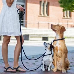 Rebel Petz - Dubbele Verstelbare Hondenriem Voor Twee Honden - Met Draaibare Sluiting En Zacht Handvat - Small En Large - Large (140 Cm Lang, Ø 12 Mm) 27 Rebel Petz - Dubbele Verstelbare Hondenriem Voor Twee Honden - Met Draaibare Sluiting En Zacht Handvat - Small En Large - Large (140 Cm Lang, Ø 12 Mm) -Dierenwinkel 1200x1200 1208