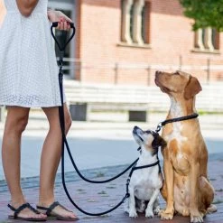 Rebel Petz - Dubbele Verstelbare Hondenriem Voor Twee Honden - Met Draaibare Sluiting En Zacht Handvat - Small En Large - Large (140 Cm Lang, Ø 12 Mm) 31 Rebel Petz - Dubbele Verstelbare Hondenriem Voor Twee Honden - Met Draaibare Sluiting En Zacht Handvat - Small En Large - Large (140 Cm Lang, Ø 12 Mm) -Dierenwinkel 1200x1200 1210