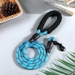 Comfortabele Hondenriem Met Gevoerd Handvat – Stevige Nylon Hondenlijn – Riem Voor Honden -Dierenwinkel 1200x1200 1221