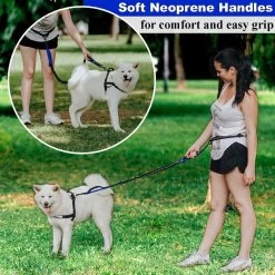 BOTC Hondenriem - Hardloopriem Hond - Looplijn Hond - Tot 170 Cm -- Looplijn Met Heupriem Reflecterend -Dierenwinkel 1200x1200 1224