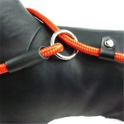 LOUZIR Cesar Millan Sliplijn Met Stop - Hondenriem - Rood - 130 Cm -Dierenwinkel 1200x1200 1242