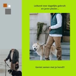 1FORME Hondenriem 15-25kg - Sliplijn Hond REFLECTEREND 2m, 1cm Ø - Jachtlijn 2 Ergonomische Handvaten - Dubbel Stop -Dierenwinkel 1200x1200 1284