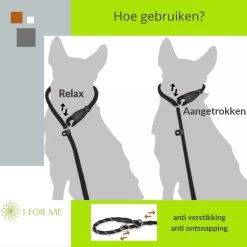1FORME Hondenriem 15-25kg - Sliplijn Hond REFLECTEREND 2m, 1cm Ø - Jachtlijn 2 Ergonomische Handvaten - Dubbel Stop -Dierenwinkel 1200x1200 1290