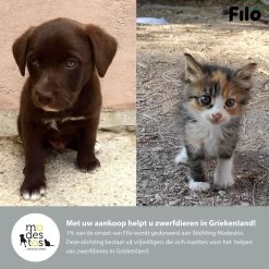 Filo Elastische Hondenriem Groot - Hardlopen En Wandelen - Hardloopriem Hond Handsfree Met Heuptasje - Looplijn Met Heupriem - Canicross Gordel Honden - Riemen - Heupgordel - Leiband -Dierenwinkel 1200x1200 1293