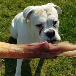 Topdiervoeding Runderkophuid Hondensnacks - Vers Gedroogd - 30cm - 1000 Gram -Dierenwinkel 1200x1200 130